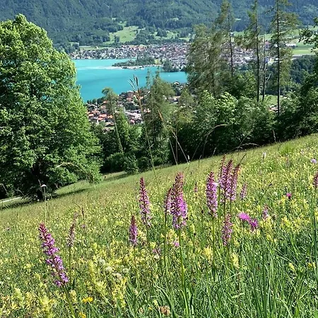 Rosemarie Apartamento