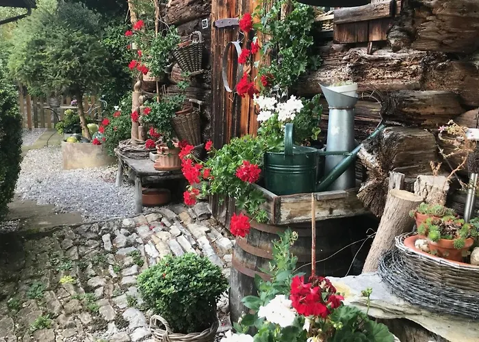 Rosemarie 里根伯格