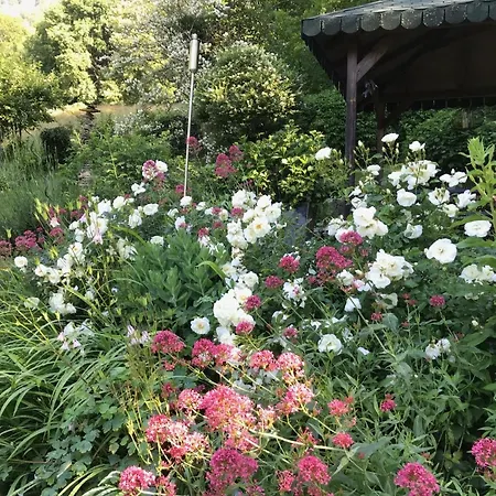 Appartamento Rosemarie Ringgenberg