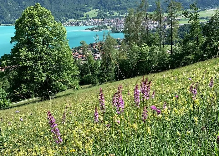 Rosemarie Appartamento